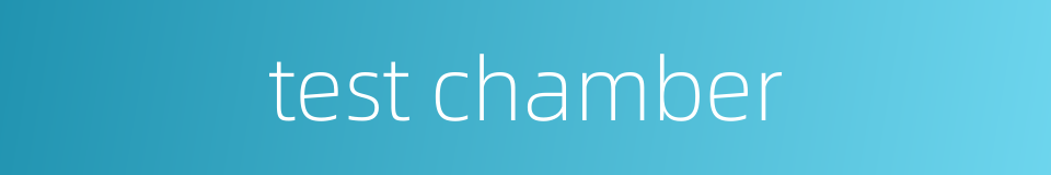 test chamber的同义词