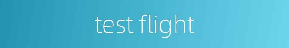 test flight的同义词