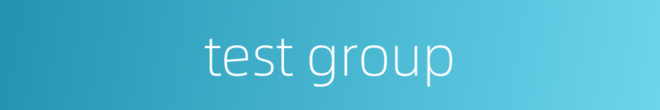 test group的同义词