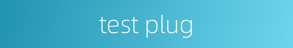 test plug的同义词