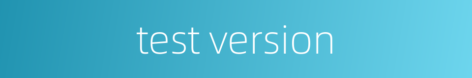 test version的同义词