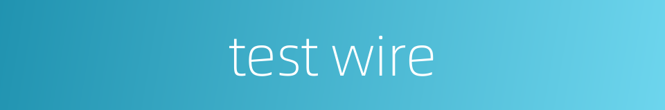 test wire的同义词