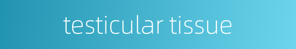 testicular tissue的同义词