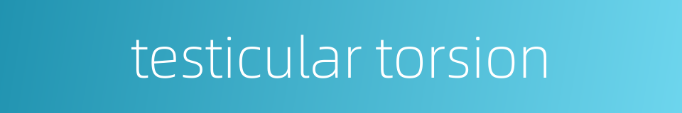 testicular torsion的同义词