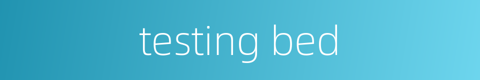 testing bed的同义词