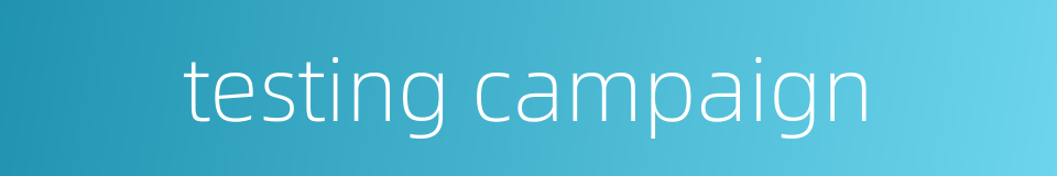 testing campaign的同义词