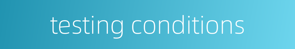 testing conditions的同义词