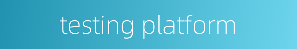 testing platform的同义词
