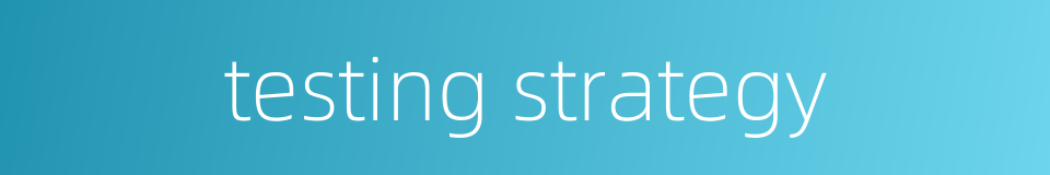 testing strategy的同义词