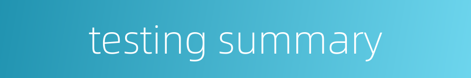 testing summary的同义词