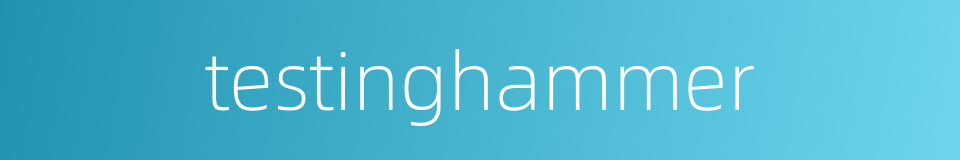 testinghammer的同义词