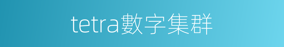 tetra數字集群的同義詞