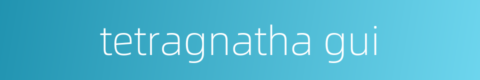 tetragnatha gui的同义词