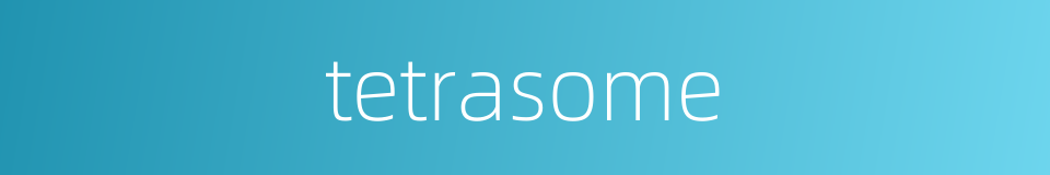 tetrasome的同义词
