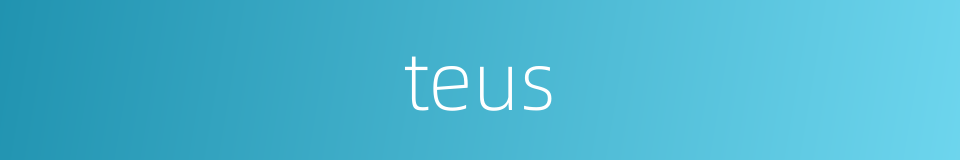 teus的同义词