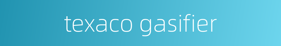 texaco gasifier的同义词