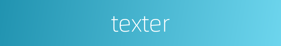 texter的同义词