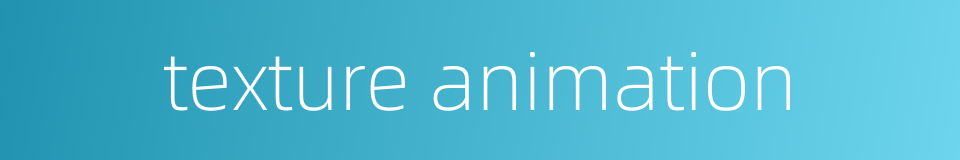 texture animation的同义词