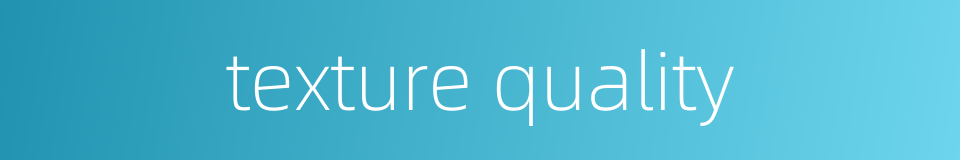 texture quality的同义词