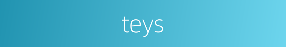 teys的意思