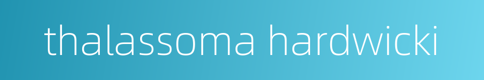 thalassoma hardwicki的同义词