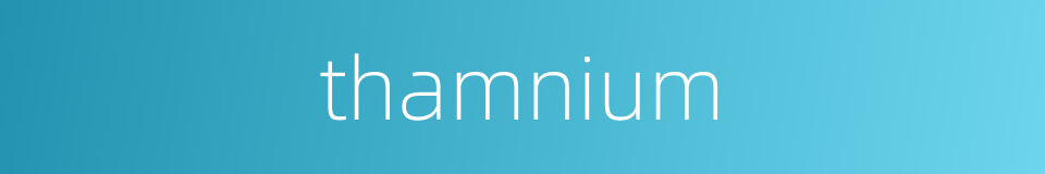 thamnium的同义词