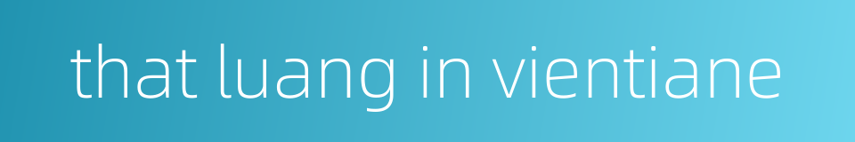 that luang in vientiane的同义词