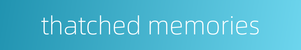 thatched memories的同义词