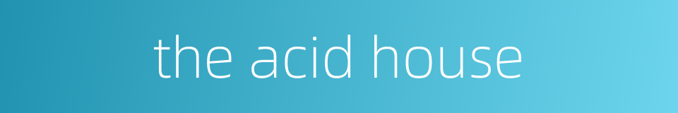 the acid house的同义词