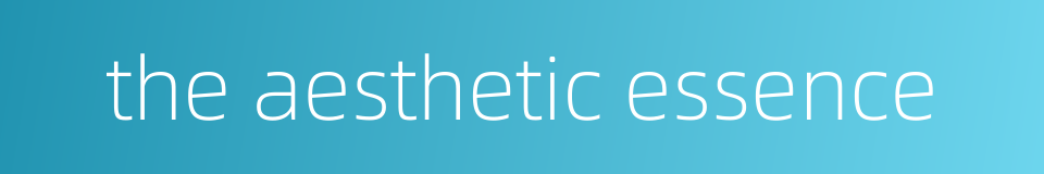 the aesthetic essence的同义词