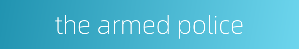 the armed police的同义词