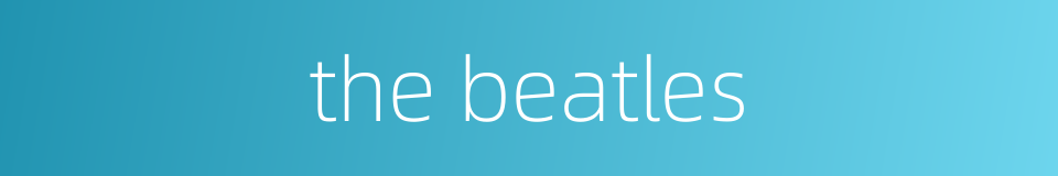 the beatles的同义词