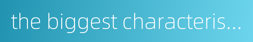 the biggest characteristic的同义词