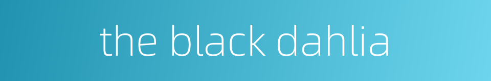 the black dahlia的同义词