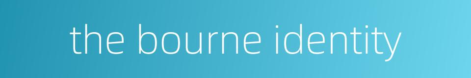 the bourne identity的同义词