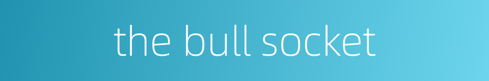 the bull socket的同义词