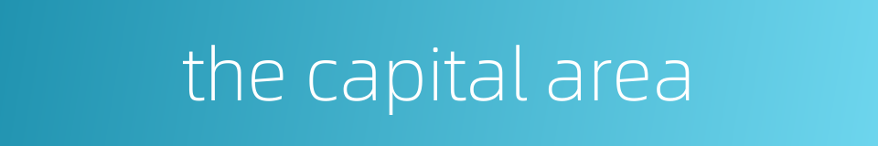 the capital area的同义词