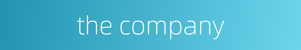 the company的同义词