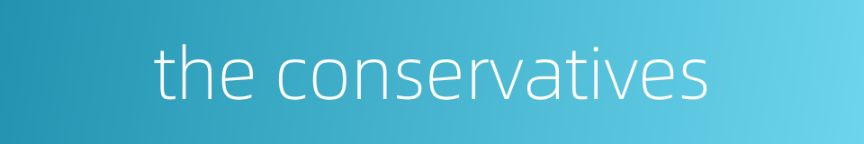 the conservatives的同义词