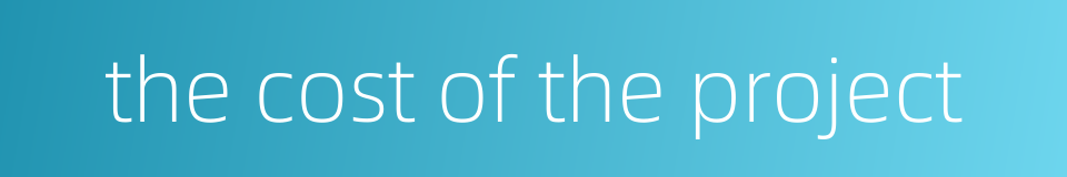 the cost of the project的同义词