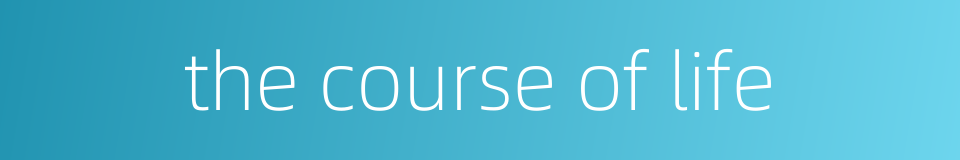 the course of life的同义词