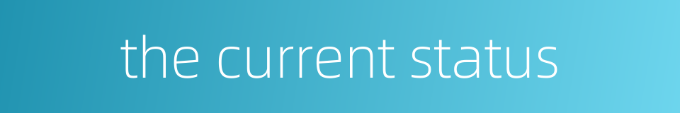 the current status的同义词