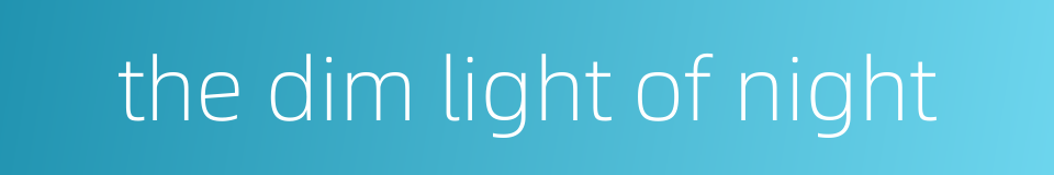 the dim light of night的同义词
