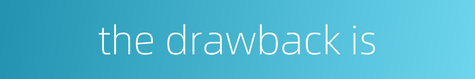 the drawback is的同义词