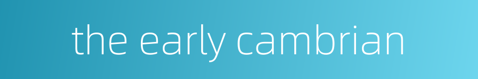 the early cambrian的同义词