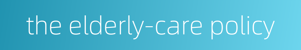 the elderly-care policy的同义词