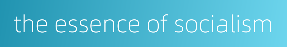 the essence of socialism的同义词