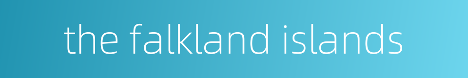 the falkland islands的同义词