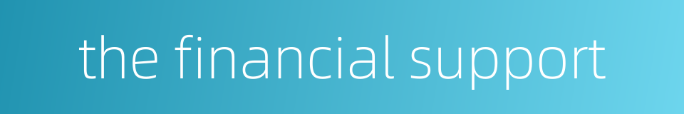 the financial support的同义词