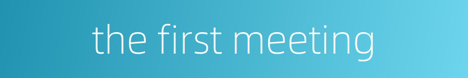 the first meeting的同义词